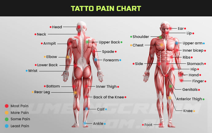 lower back tattoo pain｜TikTok Search